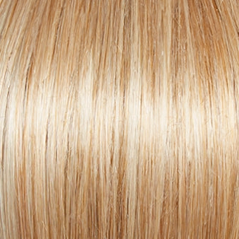 Carte Blanche Wig by Gabor | Lace Front | Mono Top | Average Cap