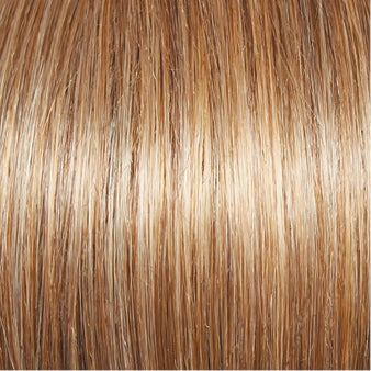 Carte Blanche Wig by Gabor | Lace Front | Mono Top | Large Cap