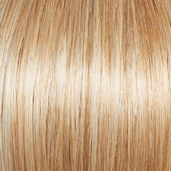 Carte Blanche Wig by Gabor | Lace Front | Mono Top | Large Cap