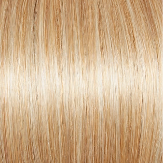 Carte Blanche Wig by Gabor | Lace Front | Mono Top | Large Cap