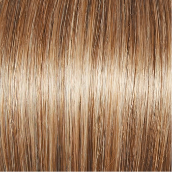Carte Blanche Wig by Gabor | Lace Front | Mono Top | Large Cap