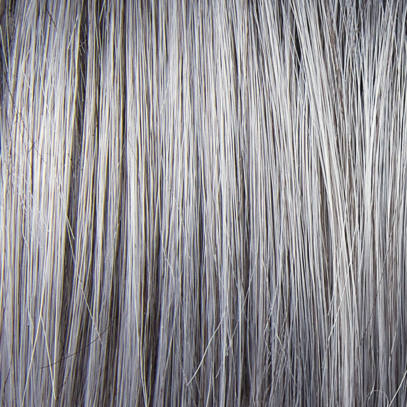 Charlotte Wig by TressAllure | Synthetic Hair | Average Cap