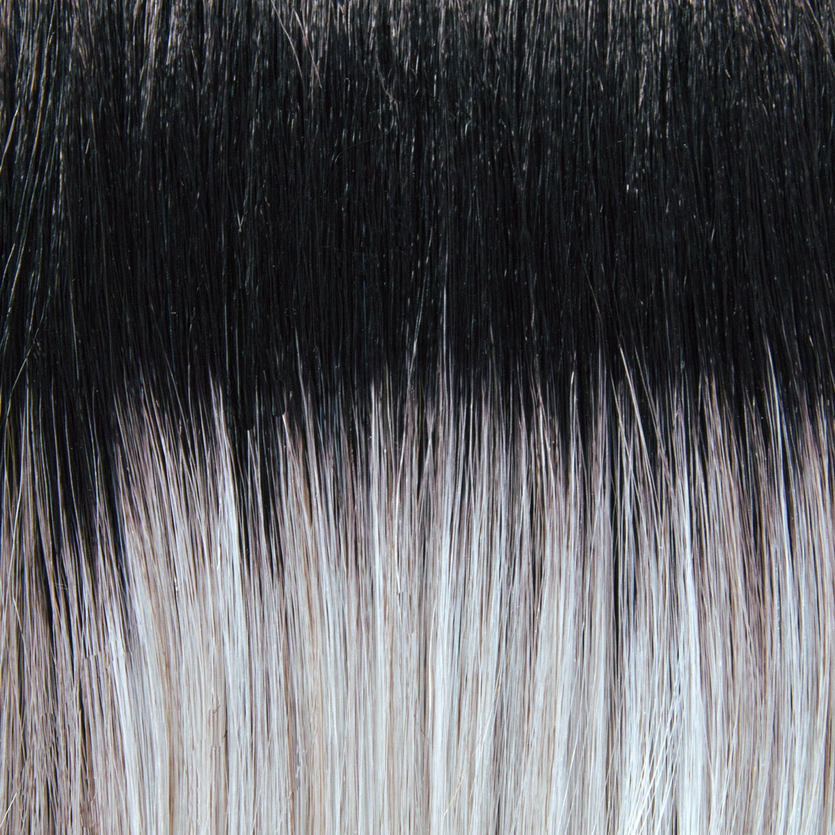 Charlotte Wig by TressAllure | Synthetic Hair | Average Cap