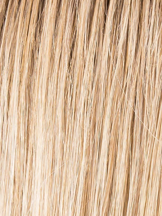 Cher Wig by Ellen Wille | High Power | Heat Friendly Synthetic