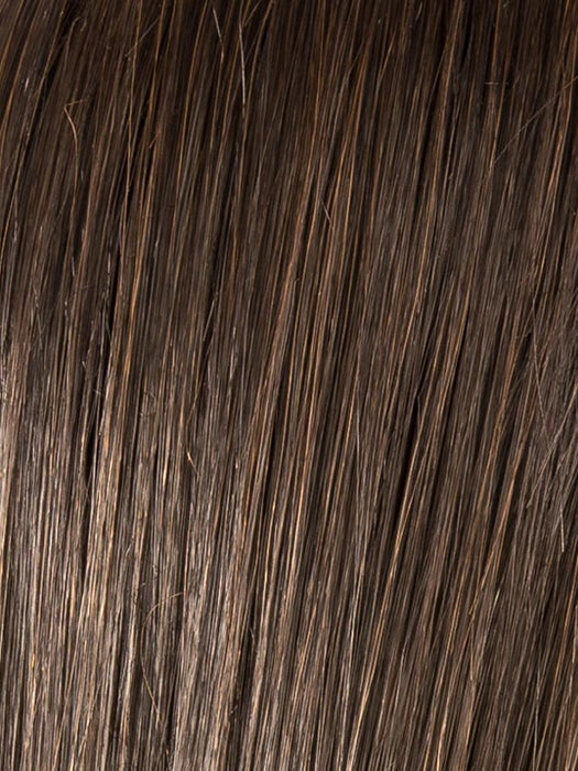 Cher Wig by Ellen Wille | High Power | Heat Friendly Synthetic