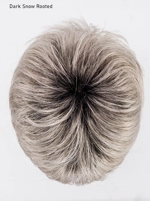 Club 10 Wig by Ellen Wille | Hair Power | Synthetic Fiber