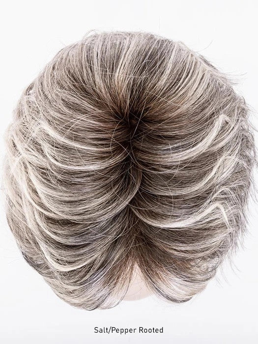 Cover Wig by Ellen Wille | Hair Power | Heat Friendly Synthetic