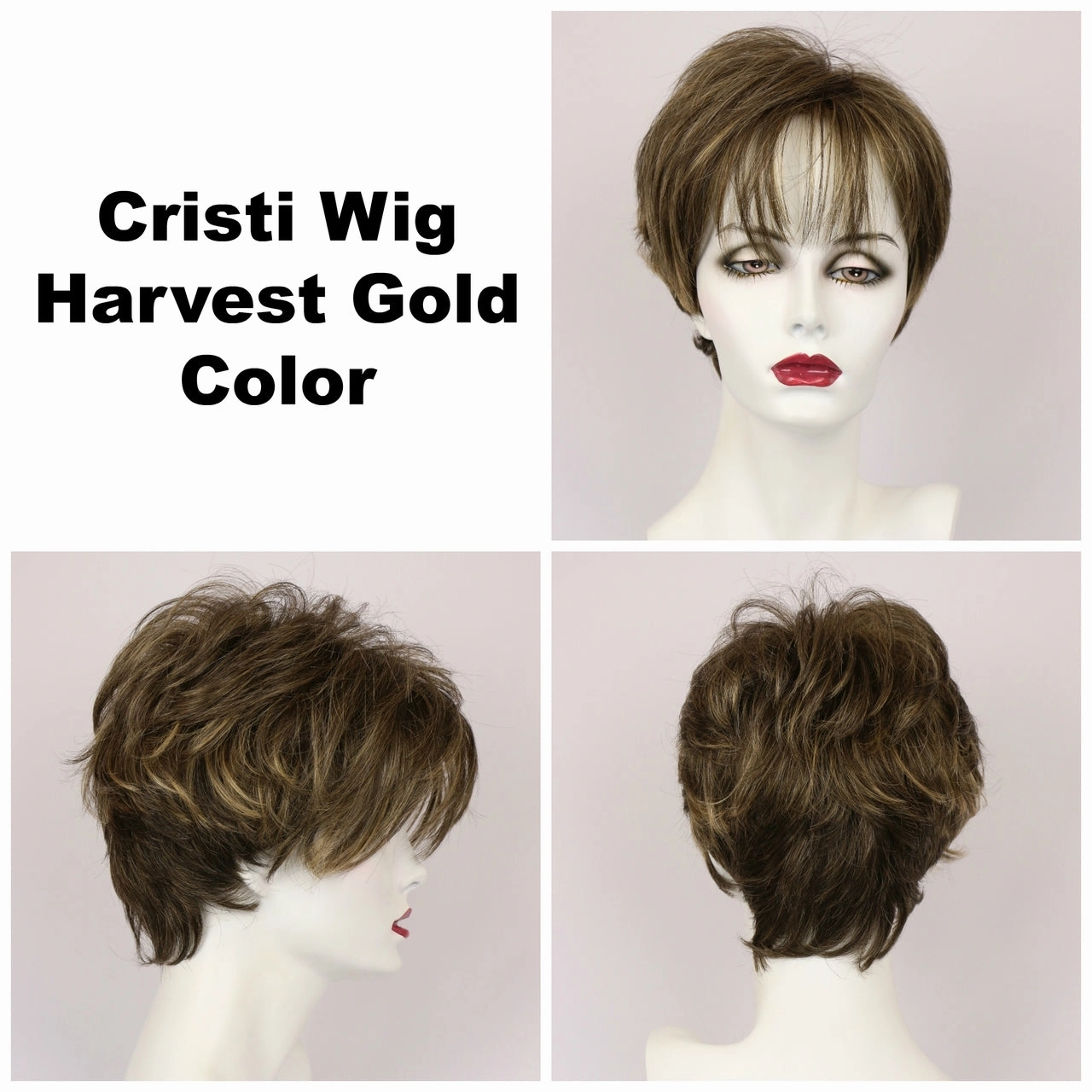 Cristi Wig by Godiva Secret Wigs | Synthetic Hair | Average Cap