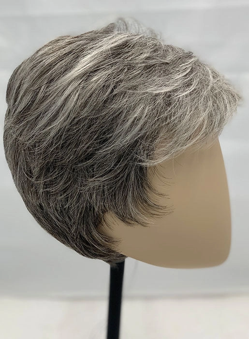 Debbie Wig by Ellen Wille | Synthetic Hair | Petite/Average Cap