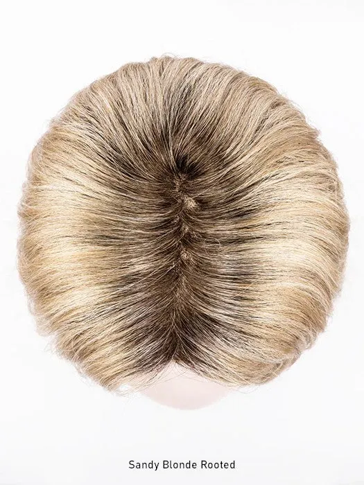 Destiny Wig by Ellen Wille | Hair Power | Extended Lace Front | Mono Part