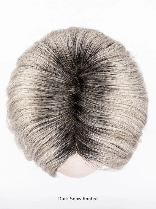 Destiny Wig by Ellen Wille | Hair Power | Extended Lace Front | Mono Part