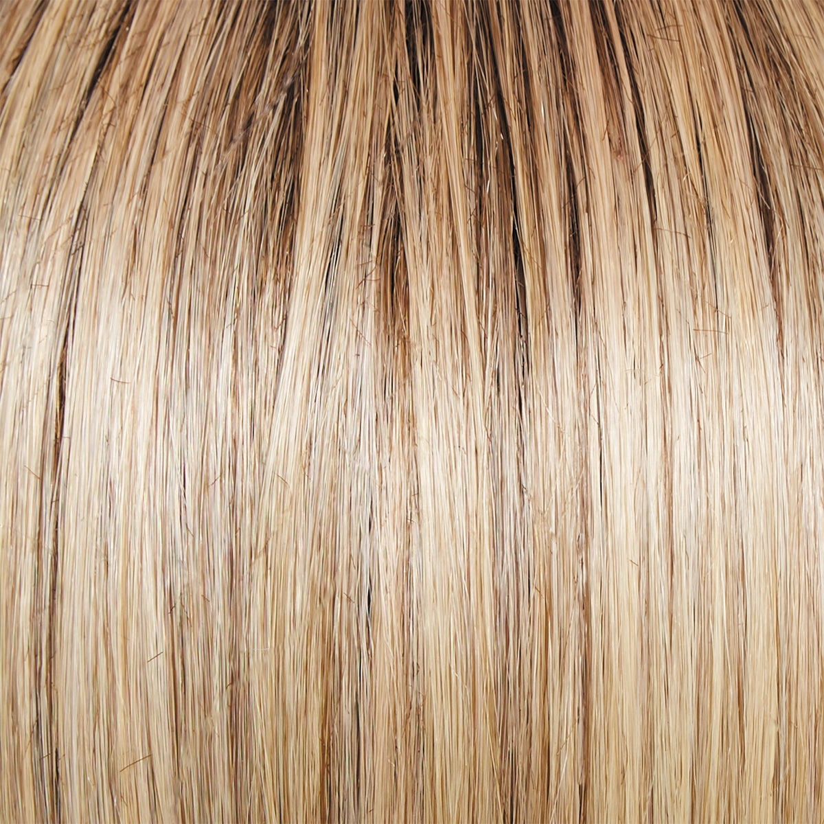 Dress Rehearsal Wig by Raquel Welch | Heat Friendly Synthetic (Lace Front Mono)