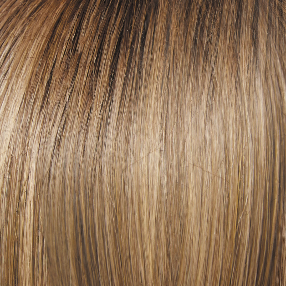 Dress Rehearsal Wig by Raquel Welch | Heat Friendly Synthetic (Lace Front Mono)