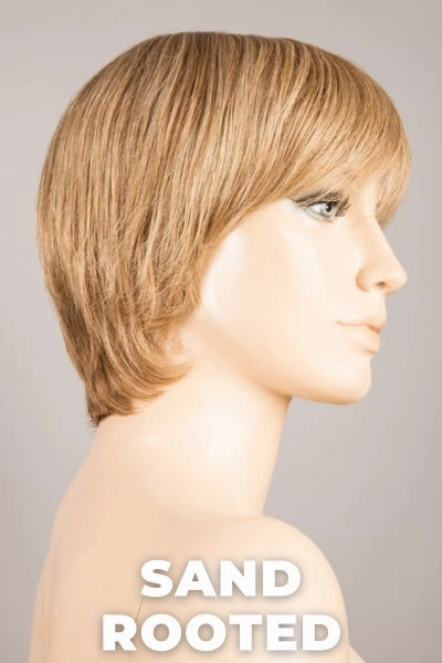Ellen Wille Wigs - Award Small - Remy Human Hair