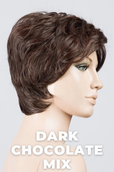 Ellen Wille Wigs - Cover