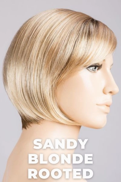 Ellen Wille Wigs - French