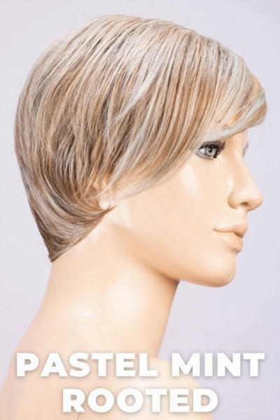 Ellen Wille Wigs - Link