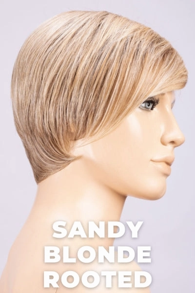 Ellen Wille Wigs - Link