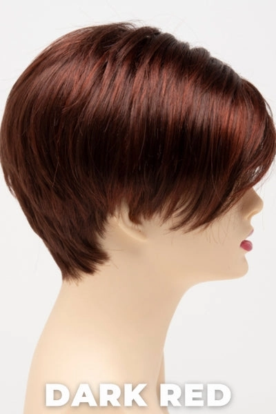 Envy Wigs - Amy