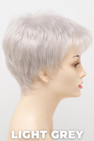 Envy Wigs - Ivy