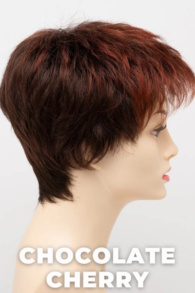 Envy Wigs - Ivy