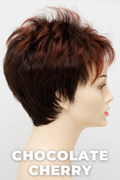 Envy Wigs - Penelope