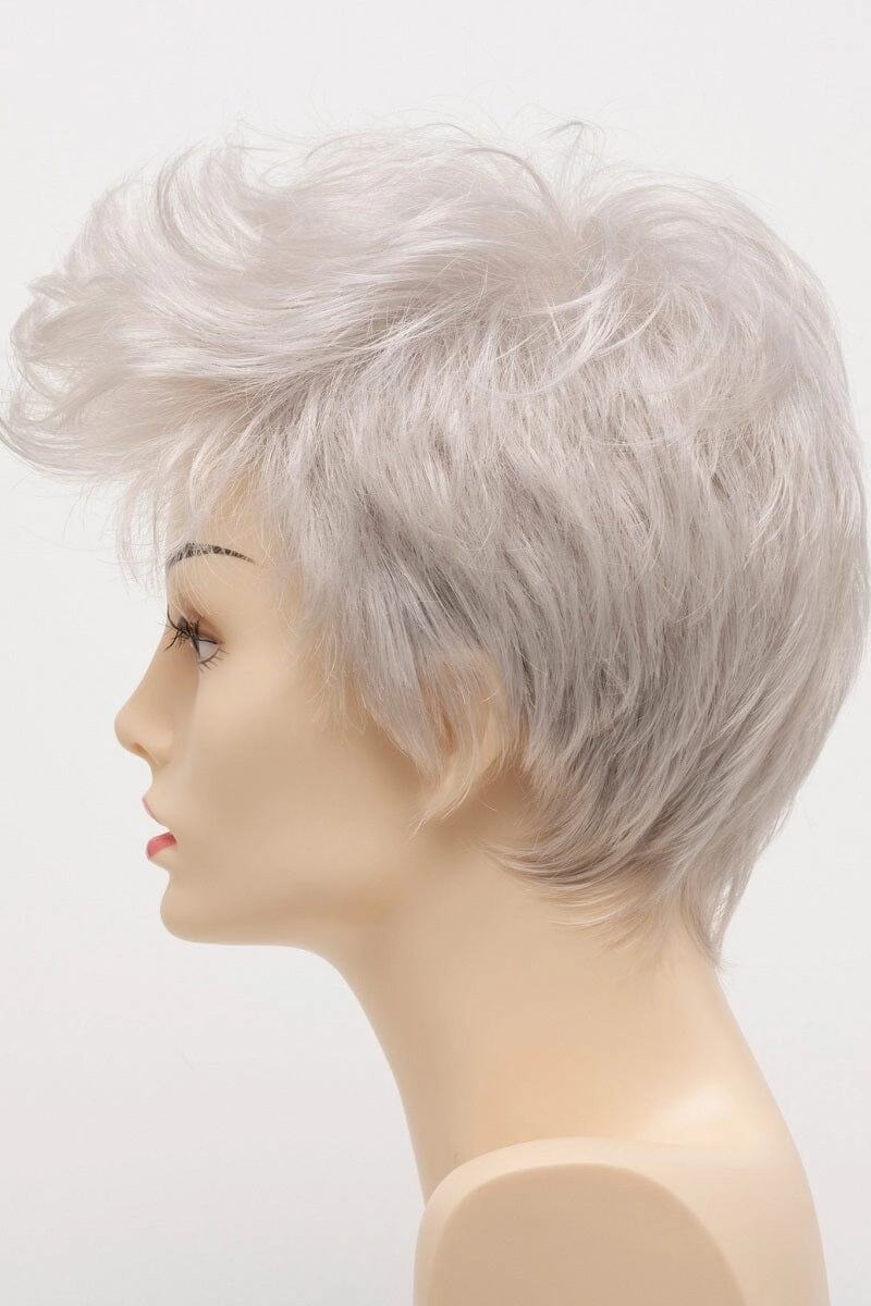 Envy Wigs - Raven