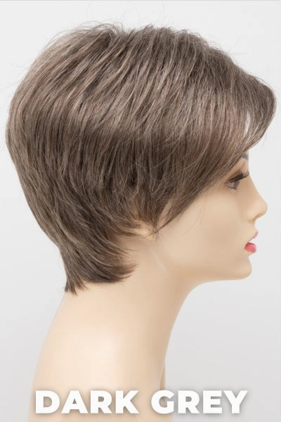Envy Wigs - Shari (Large)