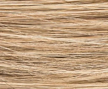 Fair Mono wig - Ellen Wille Hairpower Collection