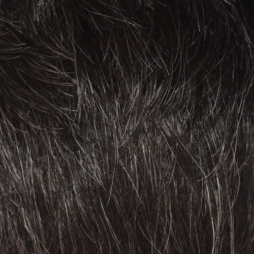 Felicity Wig by WigPro | Synthetic Hair | Average Cap