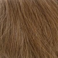 Findley wig - Amore Rene of Paris