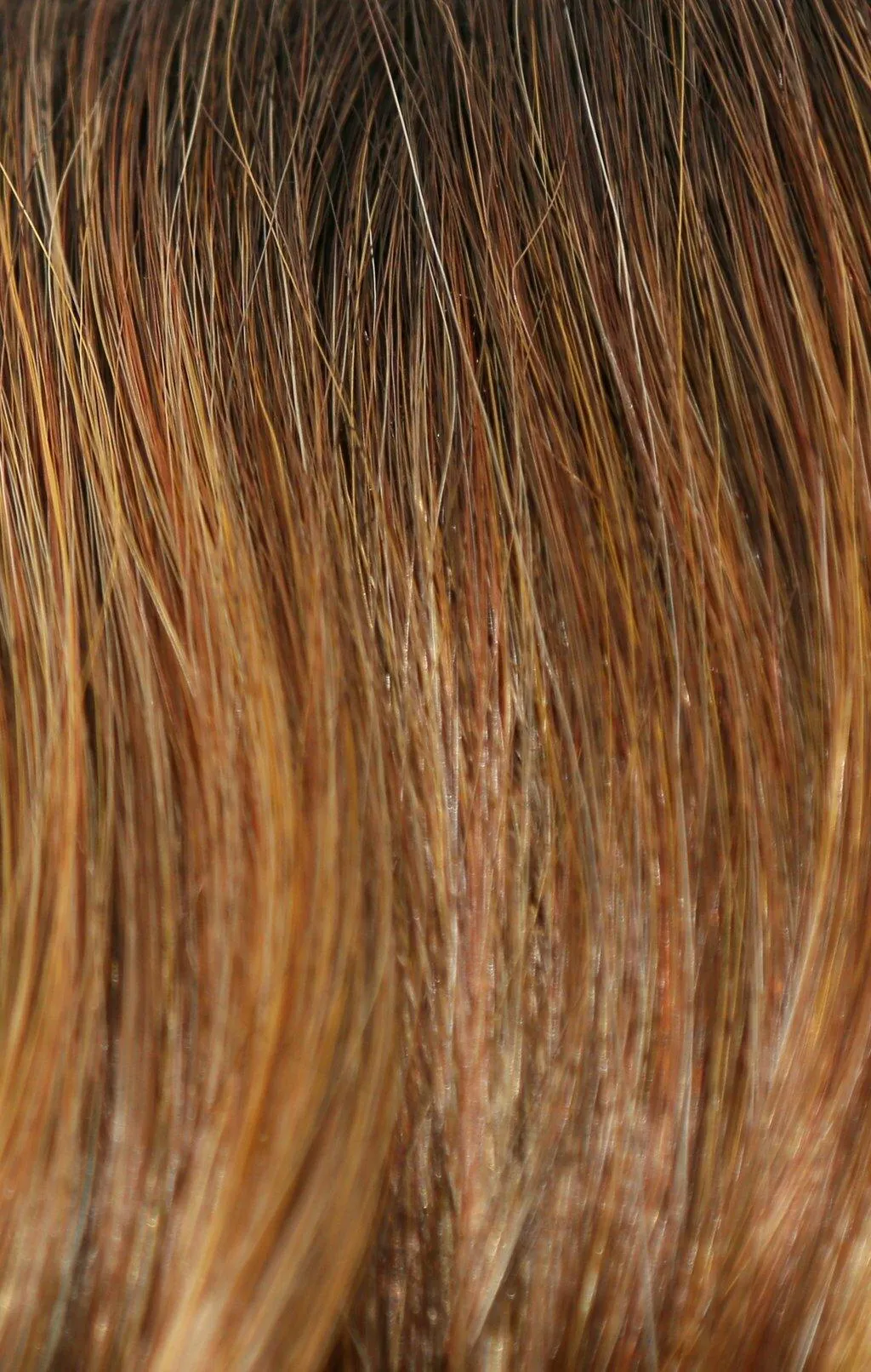 Flex TP Wig by Amore | Synthetic (Lace Front Mono Top)