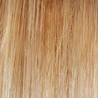 Glamorize Always Wig by Gabor | Lace Front | Heat Friendly Synthetic
