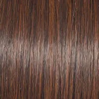 Glamorize Always Wig by Gabor | Lace Front | Heat Friendly Synthetic