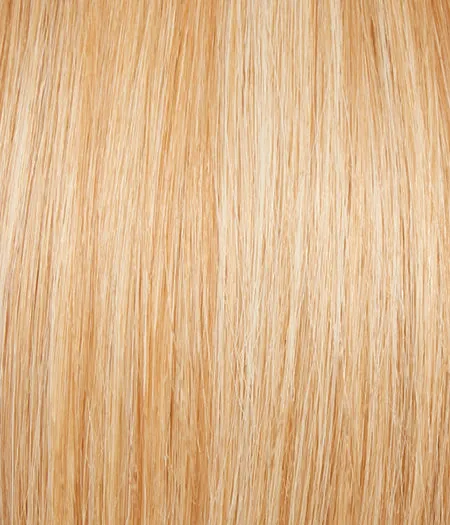 Glamour And More by Raquel Welch | Lace Front | Remy Human Hair