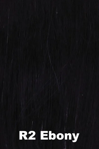 Hairdo Wigs Extensions - 12" Stretch Pony