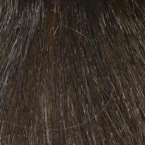 Harper Wig by Envy | Synthetic (Lace Front Mono Part)
