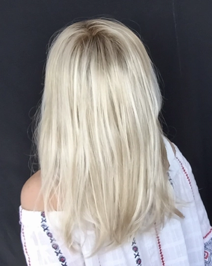 Impress Wig by Ellen Wille | Synthetic Hair | Petite/Average Cap