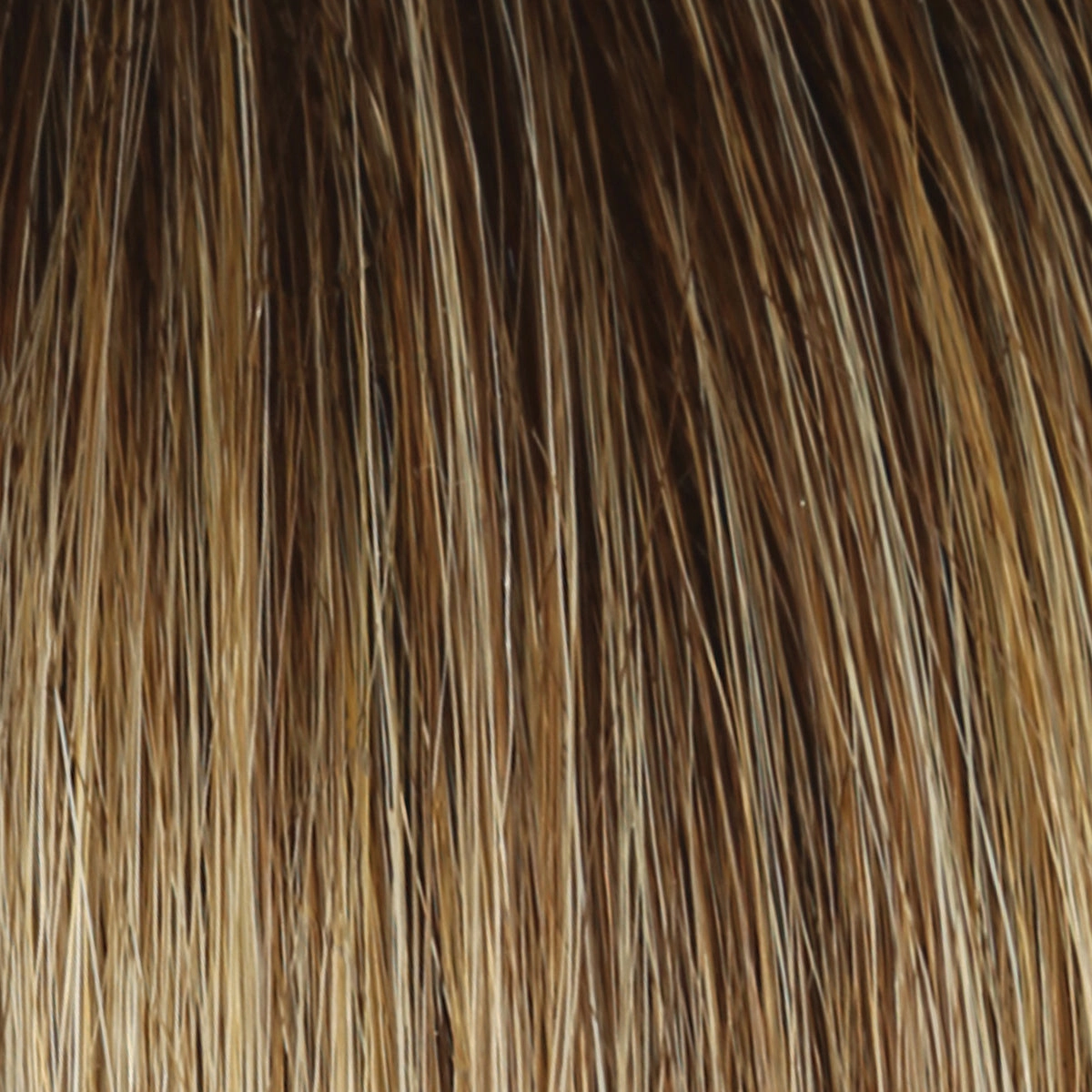 In Charge Wig by Raquel Welch