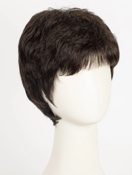 Jamie | Synthetic Wig (Basic Cap)
