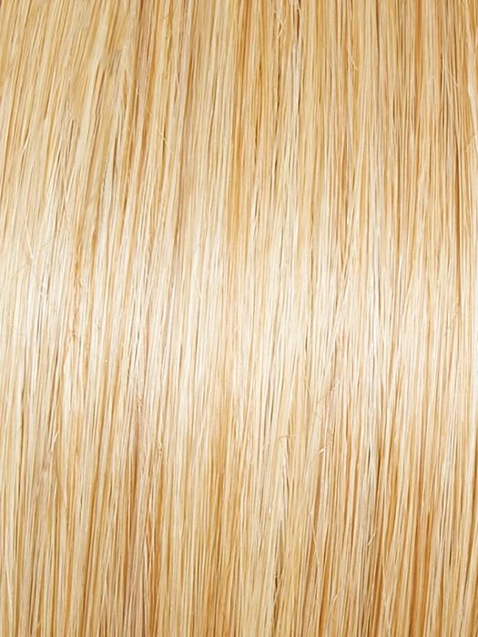 Magnetic Appeal | Synthetic Wig (Basic Cap)