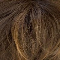 Millie wig - Noriko