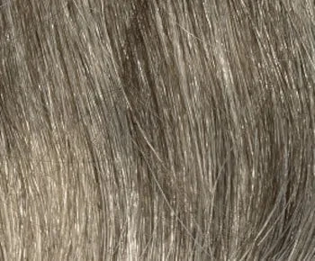 Nadia Petite wig - Envy Collection