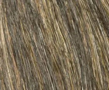 Olivia wig - Envy Collection