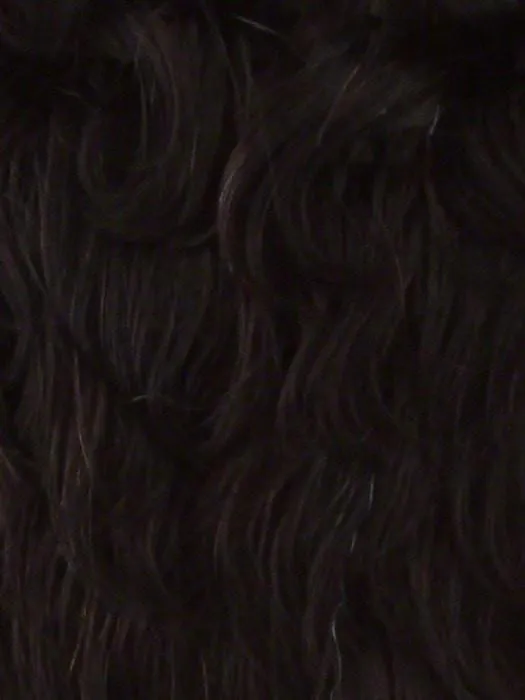 Oprah-2 | Synthetic Wig (Basic Cap)