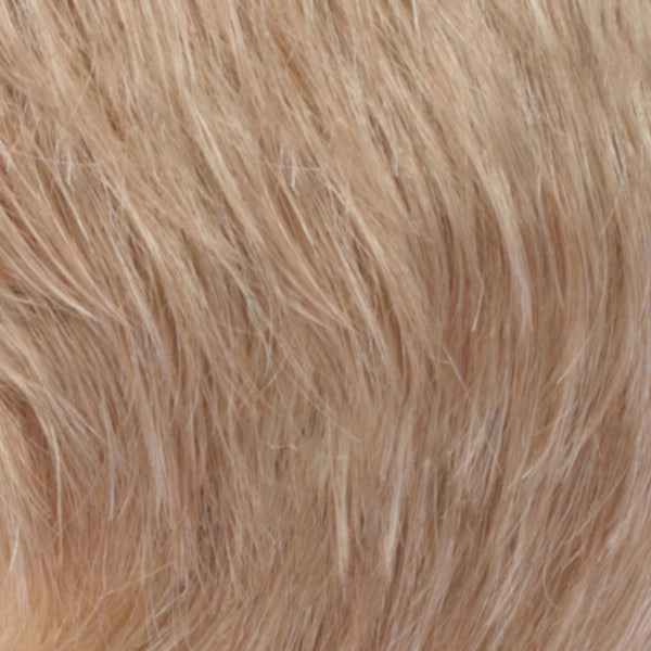 Petite Valerie by Estetica | Front Lace Line | Synthetic Fiber | Petite Cap