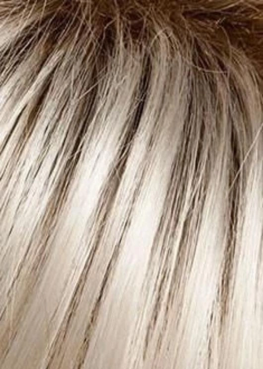 Play it Straight Wig by Raquel Welch | Synthetic Hair | Average Cap