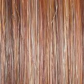 Portrait Mode Wig by Raquel Welch | Mid Length Mono Top