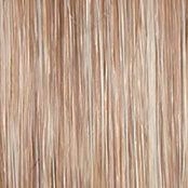Portrait Mode Wig by Raquel Welch | Mid Length Mono Top