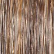 Portrait Mode Wig by Raquel Welch | Mid Length Mono Top